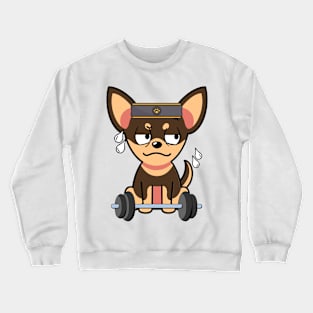 Cute small dog is exercising Crewneck Sweatshirt